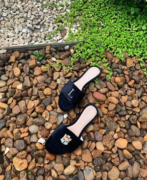Image post by @pantudog on Instagram