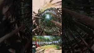 Video post by @dji on YouTube