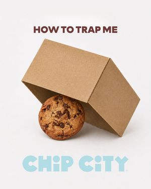Image post by @chipcitycookies on Instagram