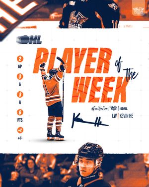 Image post by @flintfirebirds on Instagram