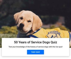 Image post by @canineorg on Instagram