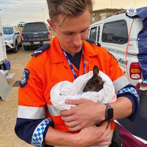 Image post by @victoriapolice on Instagram