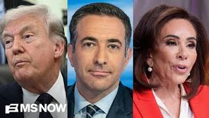 Video post by @msnbc on YouTube