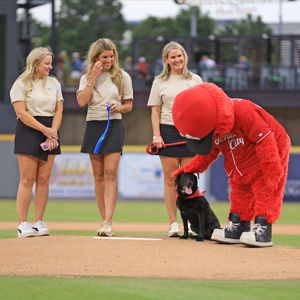 Image post by @MiLB on Twitter