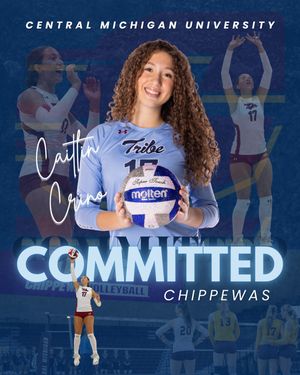 Image post by @mytribevolleyball on Instagram