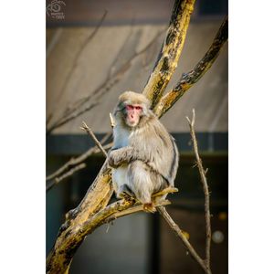 Image post by @photosbytrev20 on Instagram