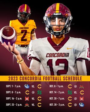 Image post by @the_stingers on Instagram
