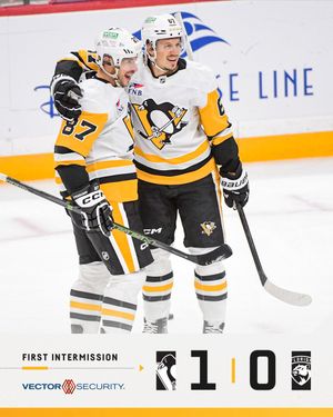 Image post by @penguins on Twitter