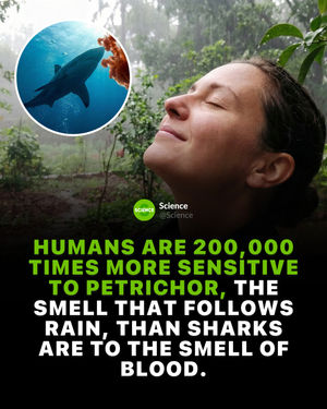 Image post by @science on Instagram
