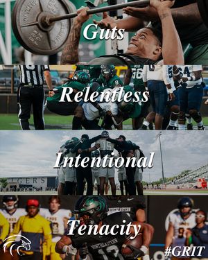 Image post by @riverhawksfb on Instagram