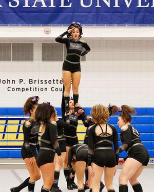 Image post by @bhshawkscheer on Instagram