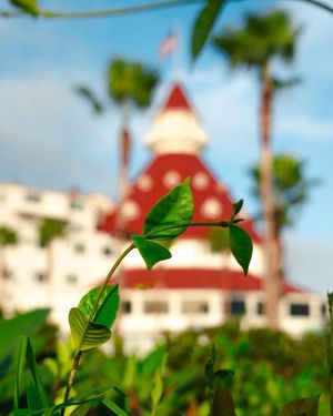 Image post by @delcoronado on Instagram