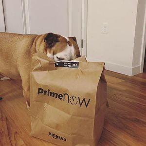Image post by @amazon on Instagram