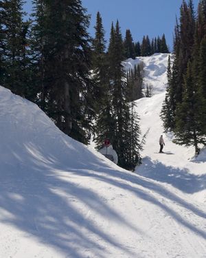 Image post by @newschoolers on Instagram