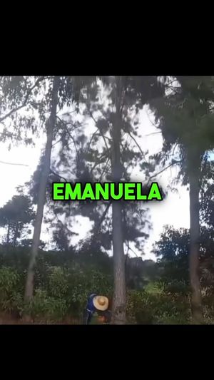 Video post by @kulpenberg_designs on Instagram