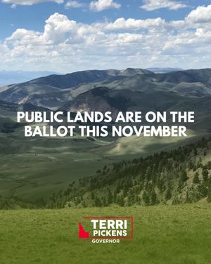 Image post by @terriforidaho on Instagram
