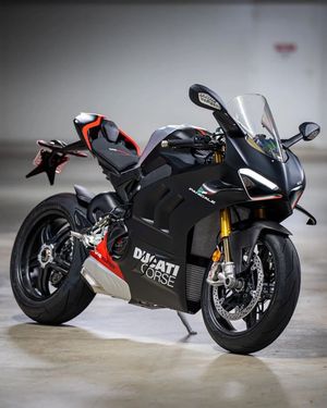 Image post by @panigalers on Instagram