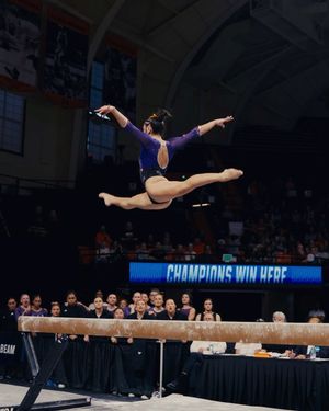 Image post by @uwgymnastics on Instagram