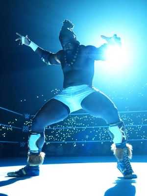 Image post by @wwedeutschland on Instagram