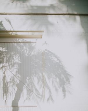 Image post by @sezsezerr on Instagram