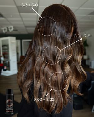 Image post by @dangerjonesbalayage on Instagram