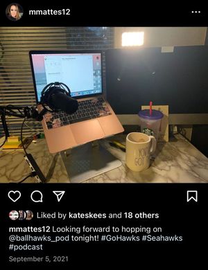 Image post by @mikaelamattes on Twitter