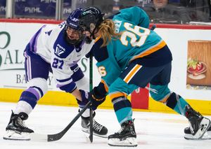 Image post by @emilygoldphotography on Instagram