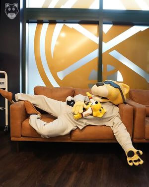 Image post by @thesupermascot on Instagram