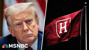 Video post by @msnbc on YouTube