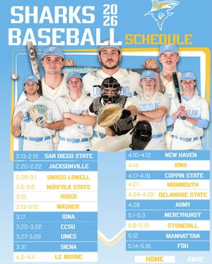 Image post by @liubaseball on Instagram