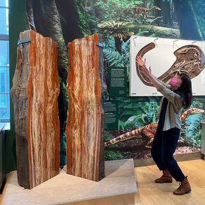 Image post by @ROMtoronto on Twitter