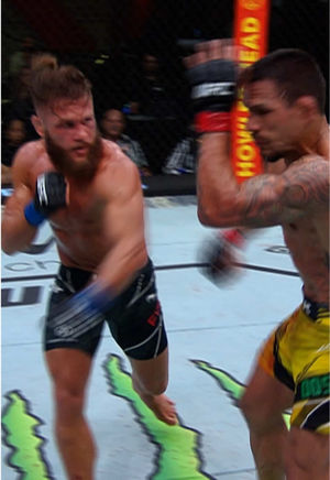 Video post by @ufc on TikTok