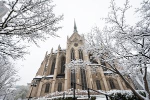 Image post by @pittofficial on Instagram