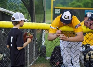 Image post by @steeplecats on Instagram