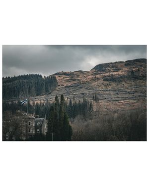 Image post by @nevillemadill on Instagram