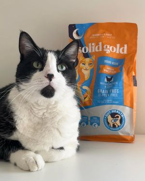 Image post by @solidgoldpets on Instagram