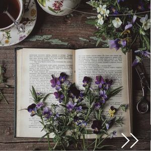 Image post by @leafyaffair on Instagram