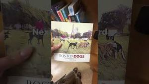 Video post by @bostonwithemily on YouTube