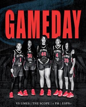 Image post by @delawarestatewbb on Instagram