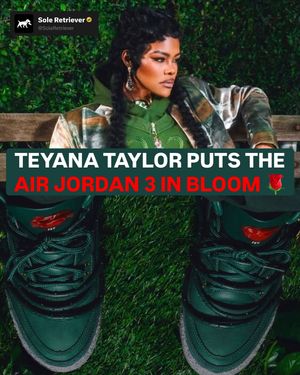 Image post by @soleretriever on Instagram