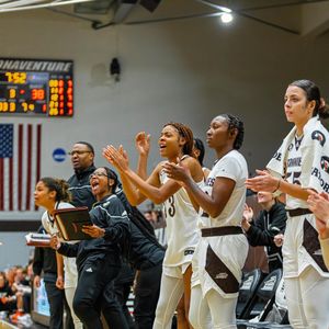 Image post by @gobonnies on Instagram