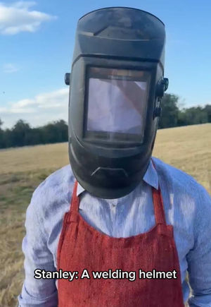 Video post by @stanley.tucci on TikTok