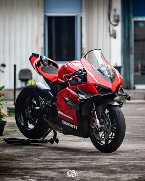 Image post by @panigalers on Instagram