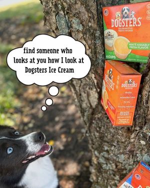 Image post by @dogstersicecream on Instagram