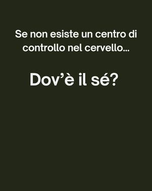 Image post by @riccardo_de_forma on Instagram