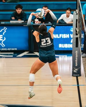 Image post by @pbasailfish on Instagram