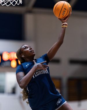 Image post by @ospreyswbb on Instagram