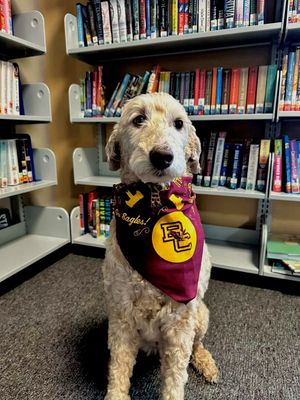 Image post by @bostoncollege on Instagram