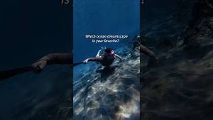 Video post by @dji on YouTube