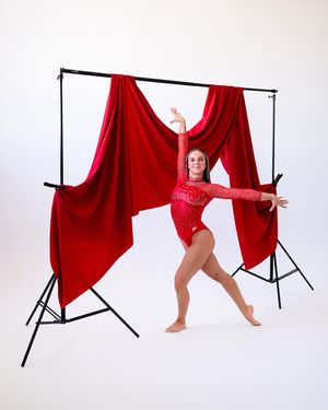 Image post by @utahgymnastics on Instagram